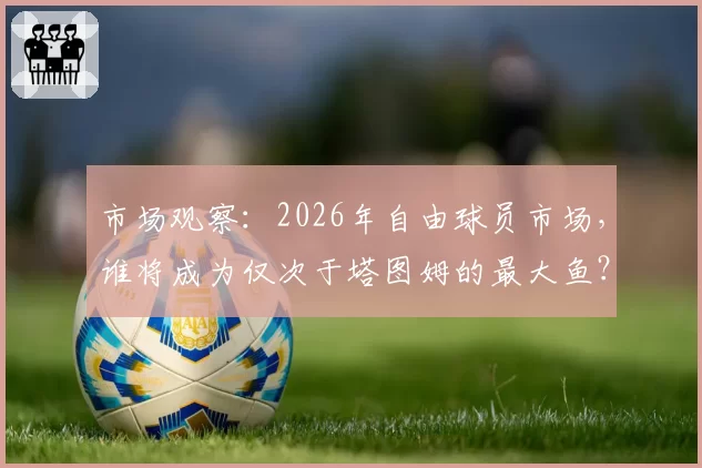 市场观察：2026年自由球员市场，谁将成为仅次于塔图姆的最大鱼？