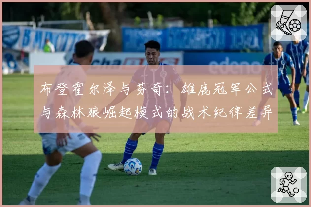 布登霍尔泽与芬奇：雄鹿冠军公式与森林狼崛起模式的战术纪律差异