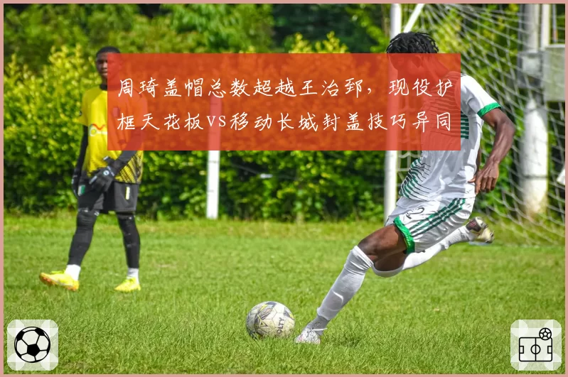 周琦盖帽总数超越王治郅,现役护框天花板vs移动长城封盖技巧异同
