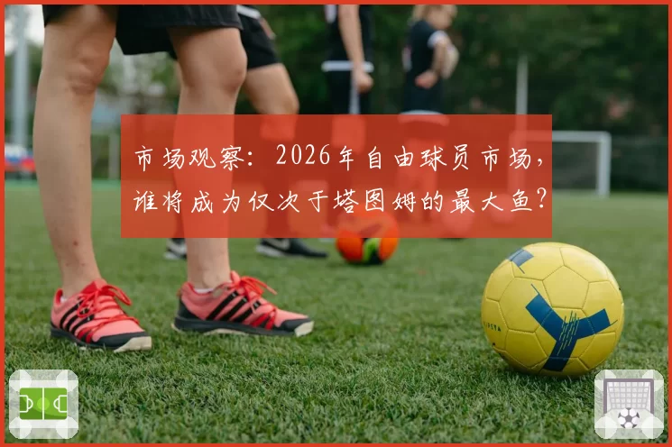 市场观察：2026年自由球员市场，谁将成为仅次于塔图姆的最大鱼？